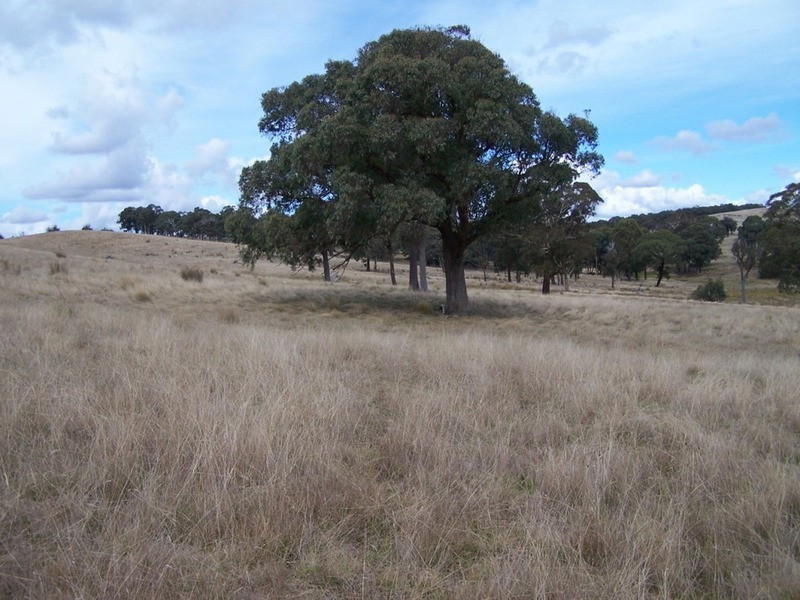 Lot 1 Cuddyong Road, Binda NSW 2583