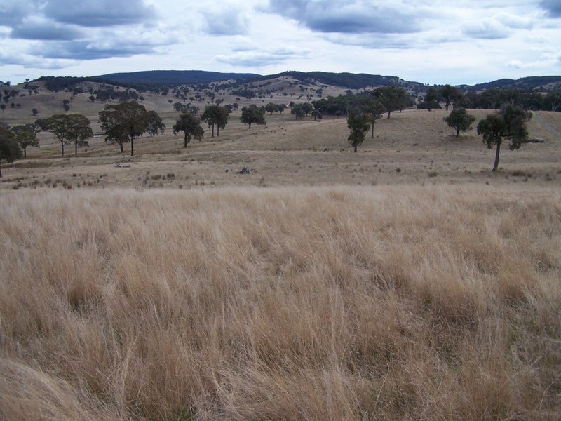 Lot 1 Cuddyong Road, Binda NSW 2583