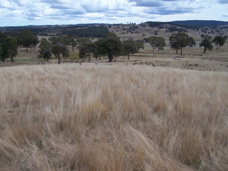 Lot 1 Cuddyong Road, Binda NSW 2583