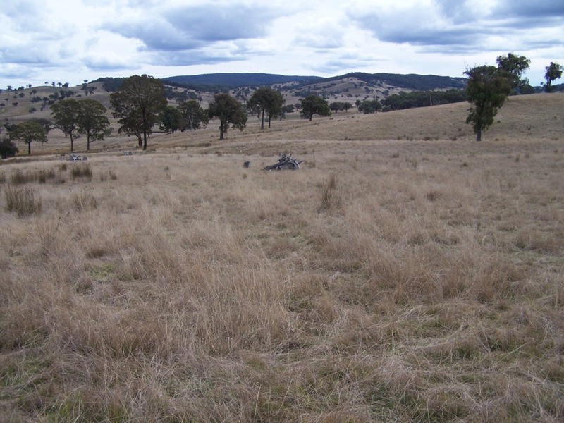 Lot 1 Cuddyong Road, Binda NSW 2583