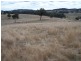 Lot 1 Cuddyong Road, Binda NSW 2583