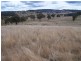 Lot 1 Cuddyong Road, Binda NSW 2583