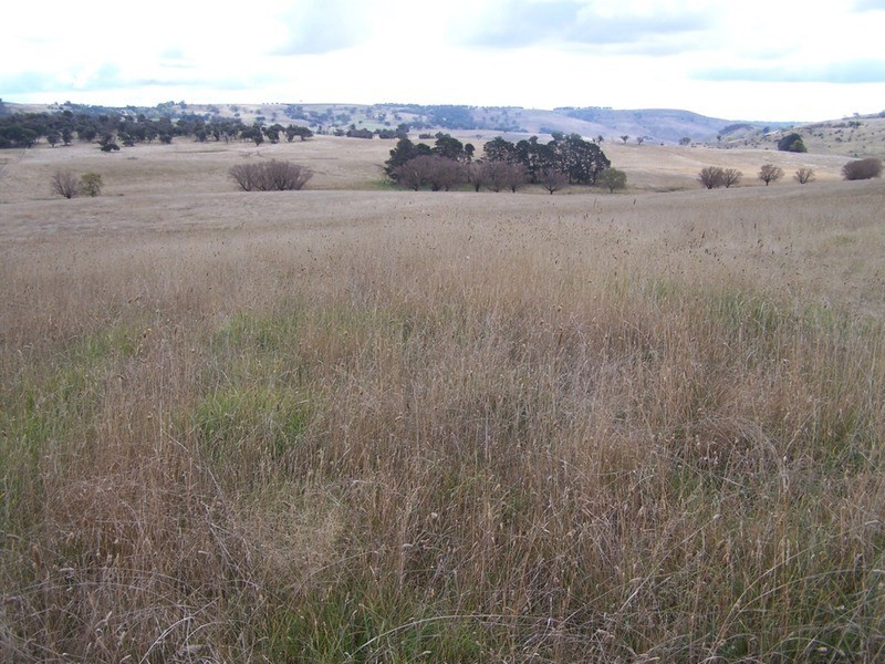 495 Leighwood Road, Golspie NSW 2580