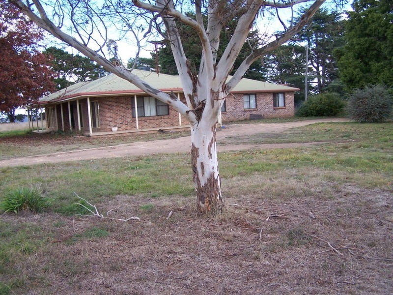 495 Leighwood Road, Golspie NSW 2580