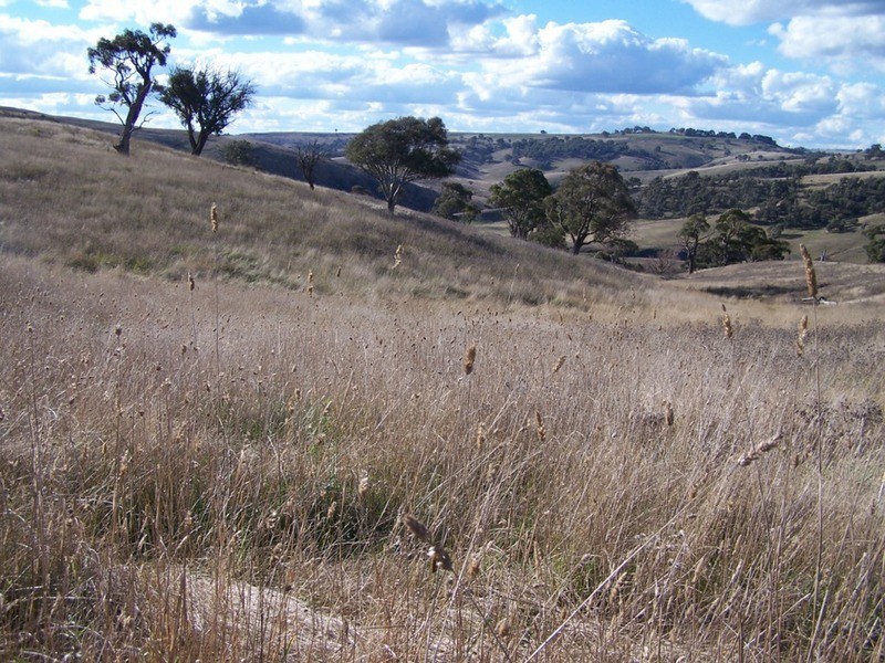 495 Leighwood Road, Golspie NSW 2580