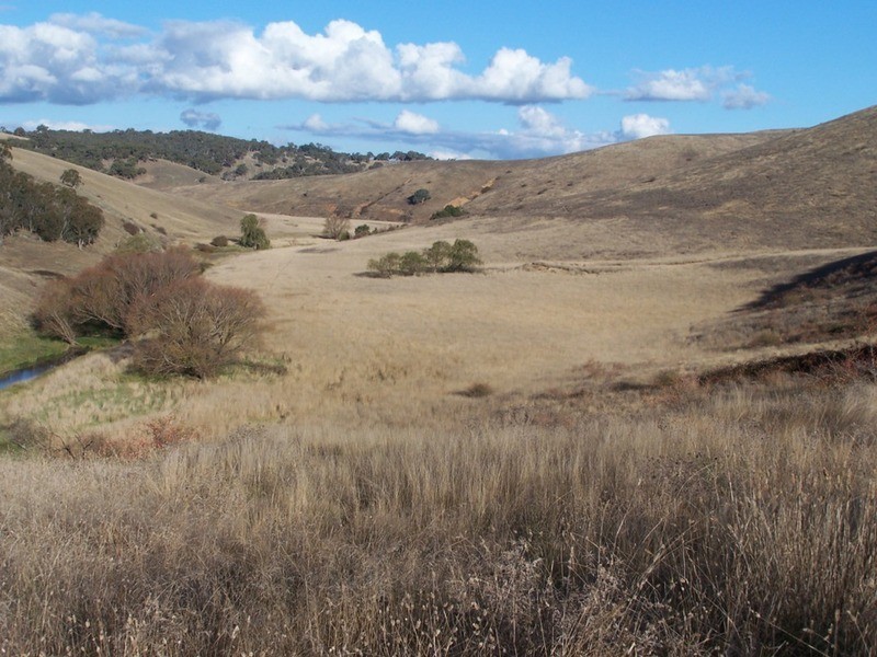 495 Leighwood Road, Golspie NSW 2580