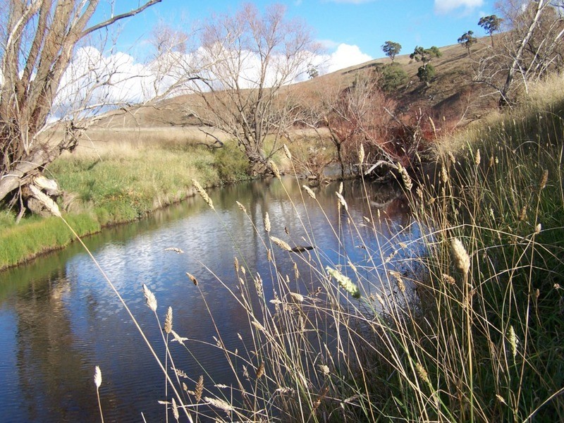 495 Leighwood Road, Golspie NSW 2580