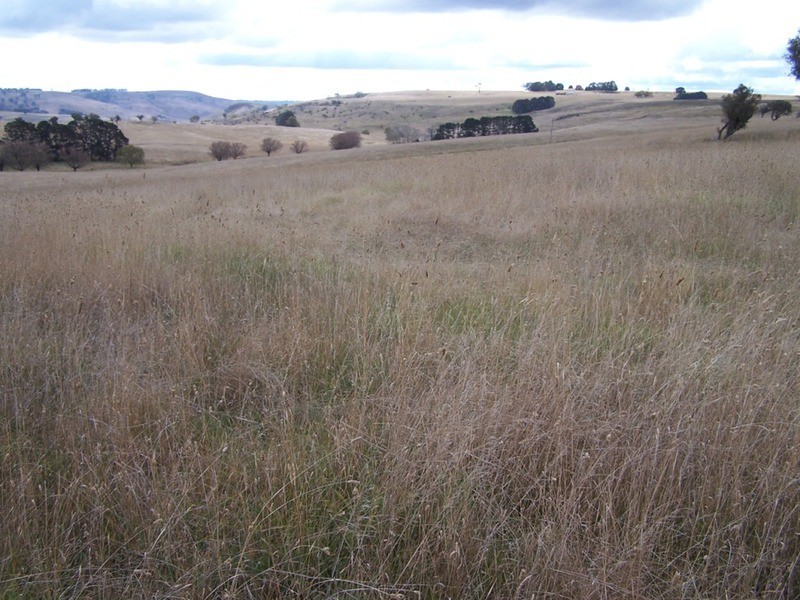 495 Leighwood Road, Golspie NSW 2580