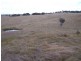 495 Leighwood Road, Golspie NSW 2580