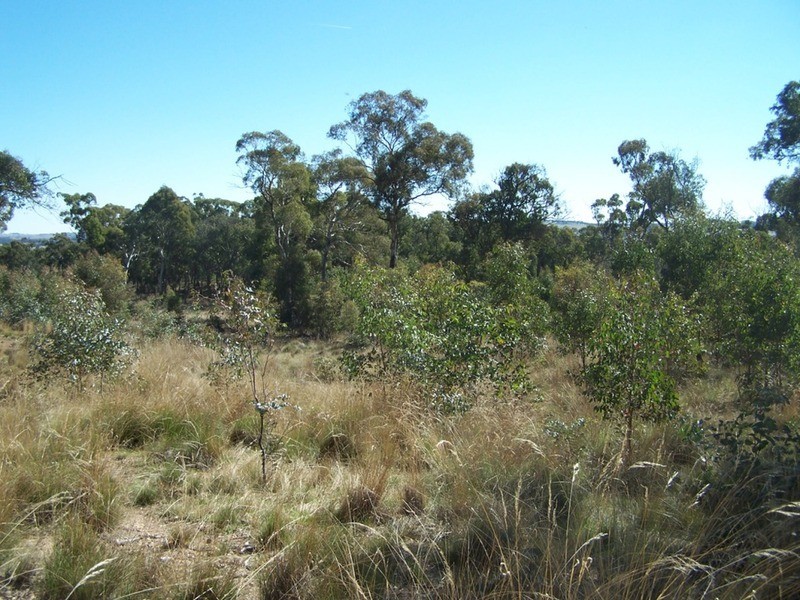 Lot 2 Craig Road, Taralga NSW 2580