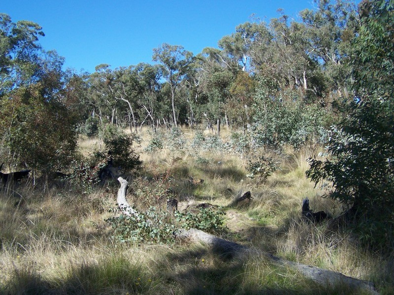 Lot 2 Craig Road, Taralga NSW 2580