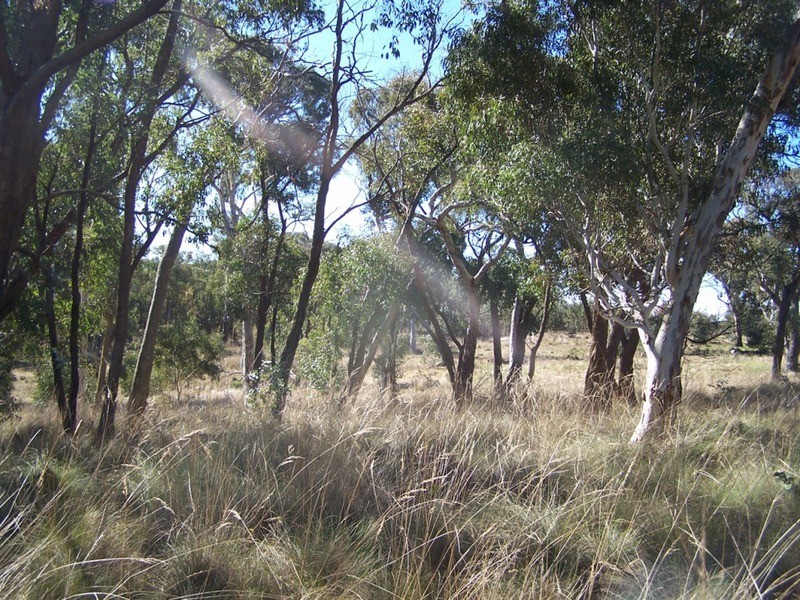 Lot 2 Craig Road, Taralga NSW 2580