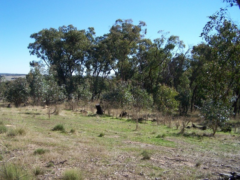 Lot 2 Craig Road, Taralga NSW 2580