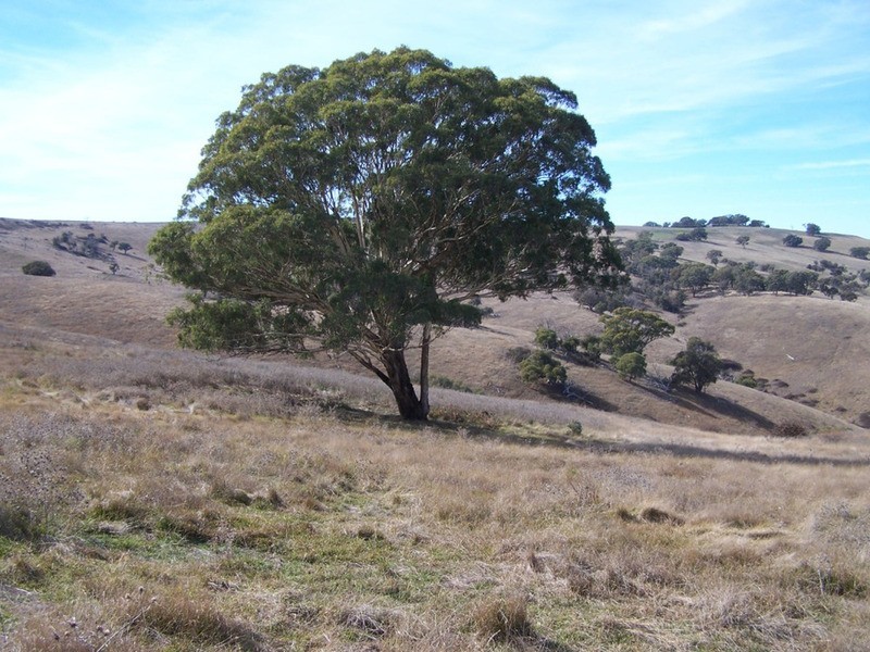 “Rockwell” 497 Leighwood Road, Golspie NSW 2580