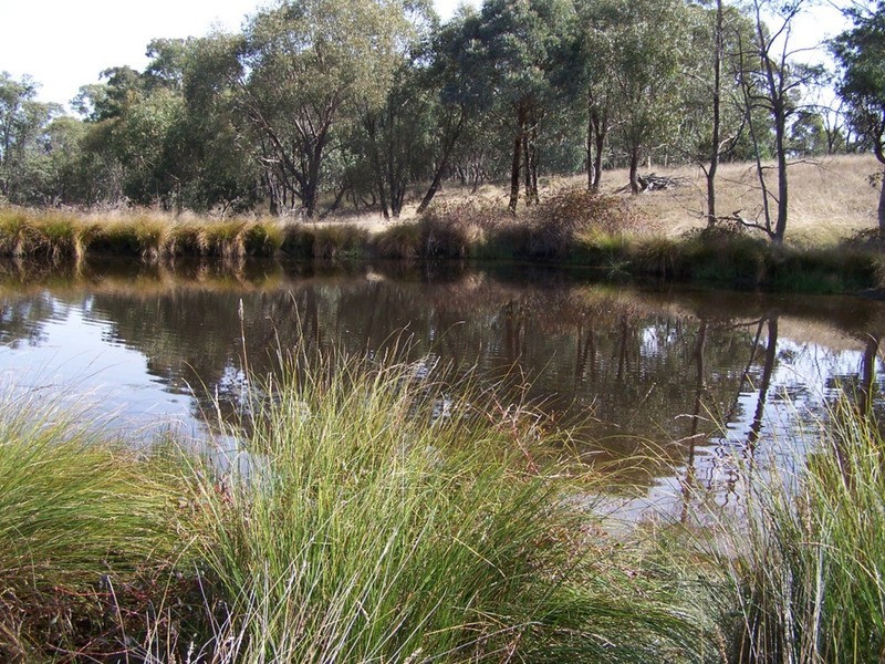 “Rockwell” 497 Leighwood Road, Golspie NSW 2580