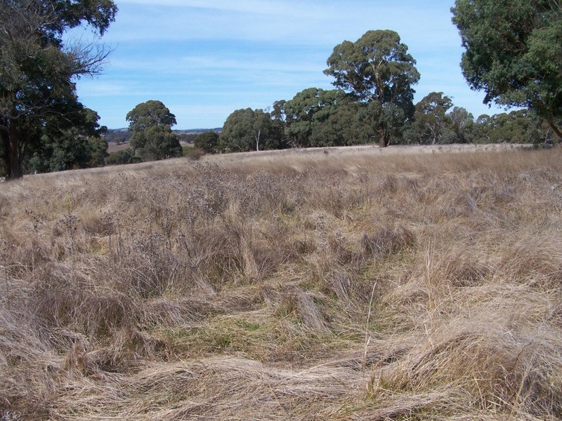 “Rockwell” 497 Leighwood Road, Golspie NSW 2580