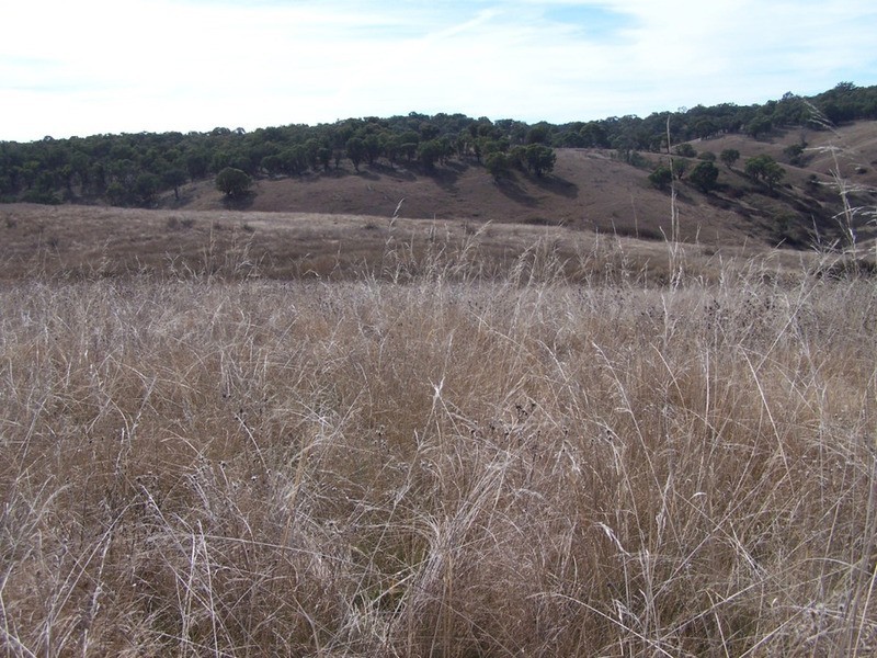 “Rockwell” 497 Leighwood Road, Golspie NSW 2580