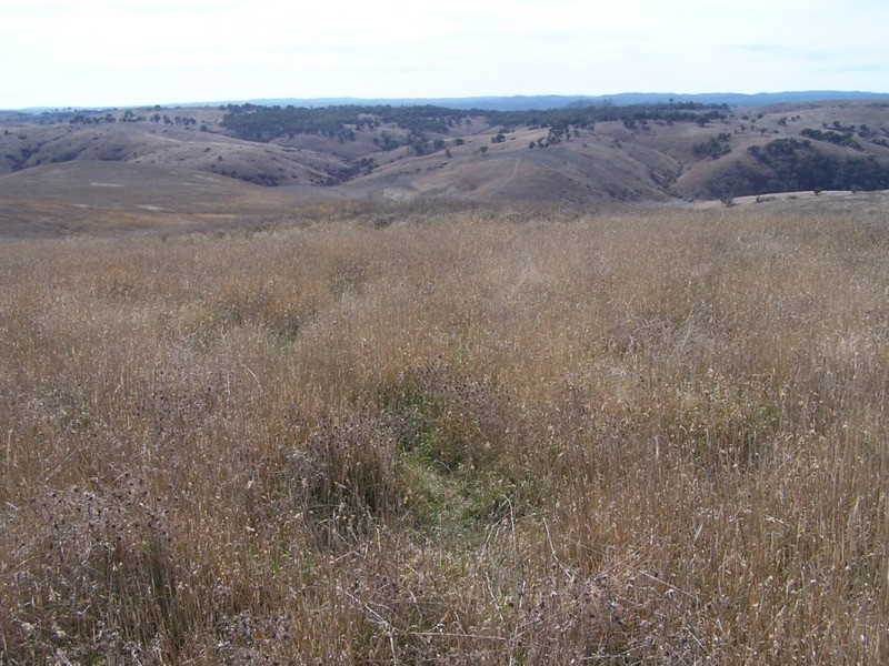 “Rockwell” 497 Leighwood Road, Golspie NSW 2580