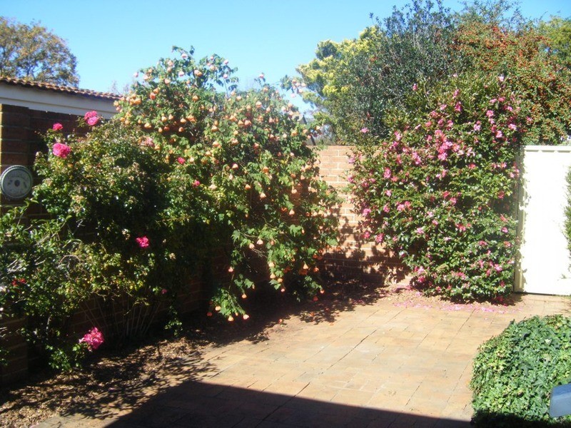 22 Lorne Street, Goulburn NSW 2580