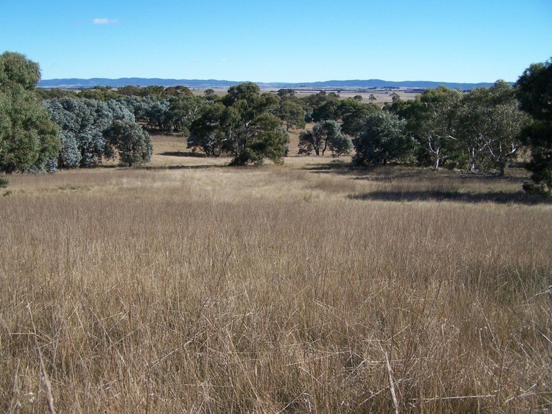 400 Kooringaroo Road, Goulburn NSW 2580