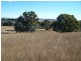 400 Kooringaroo Road, Goulburn NSW 2580