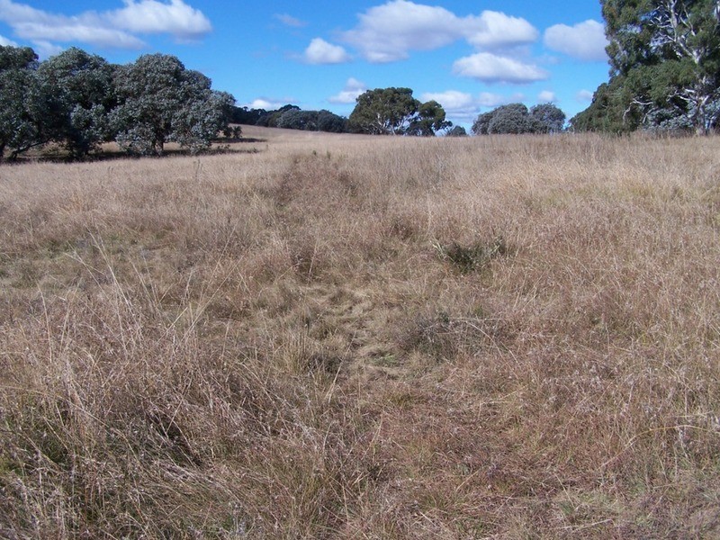 400 Kooringaroo Road, Goulburn NSW 2580