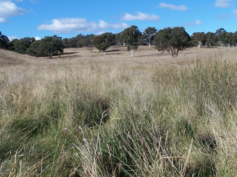 400 Kooringaroo Road, Goulburn NSW 2580