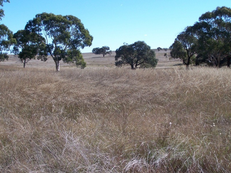 400 Kooringaroo Road, Goulburn NSW 2580