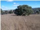 400 Kooringaroo Road, Goulburn NSW 2580