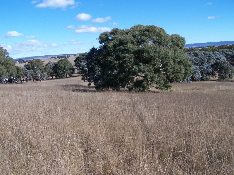 400 Kooringaroo Road, Goulburn NSW 2580