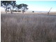 400 Kooringaroo Road, Goulburn NSW 2580
