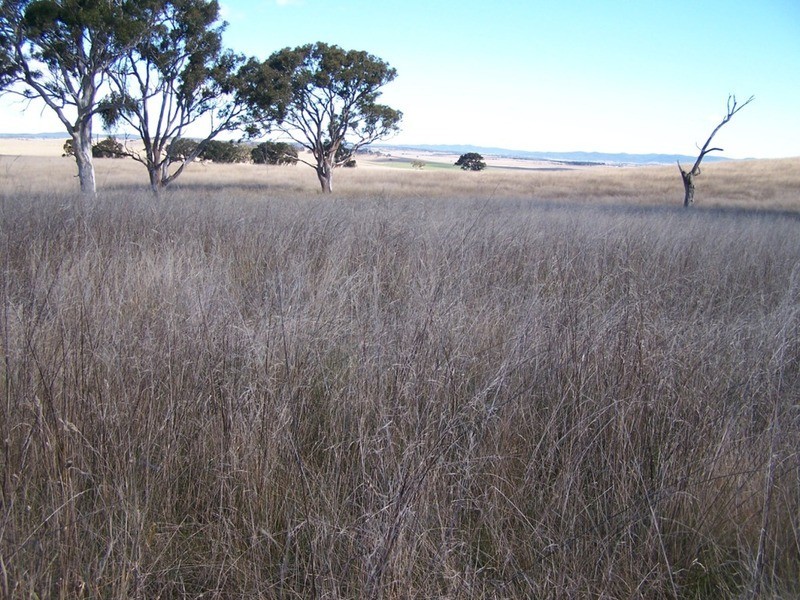 400 Kooringaroo Road, Goulburn NSW 2580