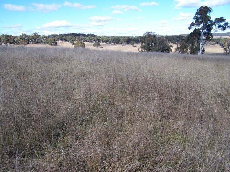 400 Kooringaroo Road, Goulburn NSW 2580