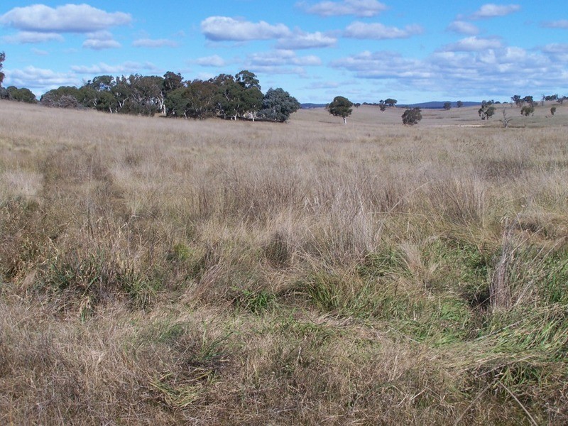 400 Kooringaroo Road, Goulburn NSW 2580