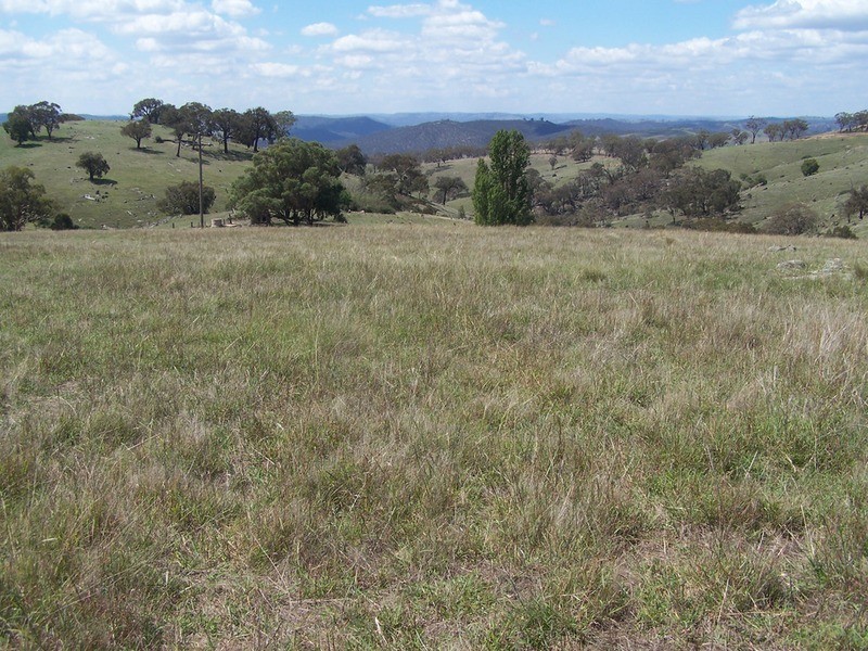Lot 3 Peach Gardens Road, Bigga NSW 2583