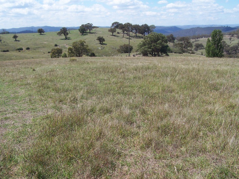 Lot 3 Peach Gardens Road, Bigga NSW 2583