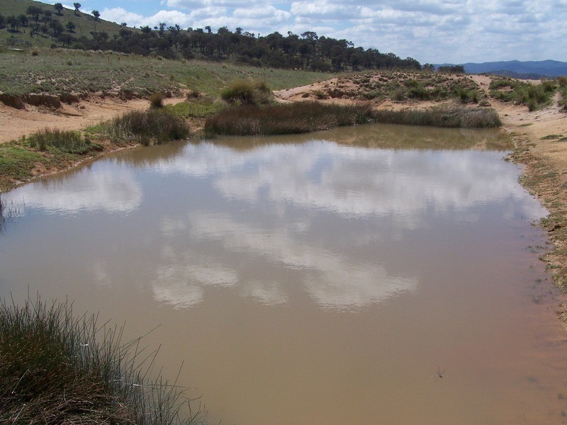 Lot 3 Peach Gardens Road, Bigga NSW 2583