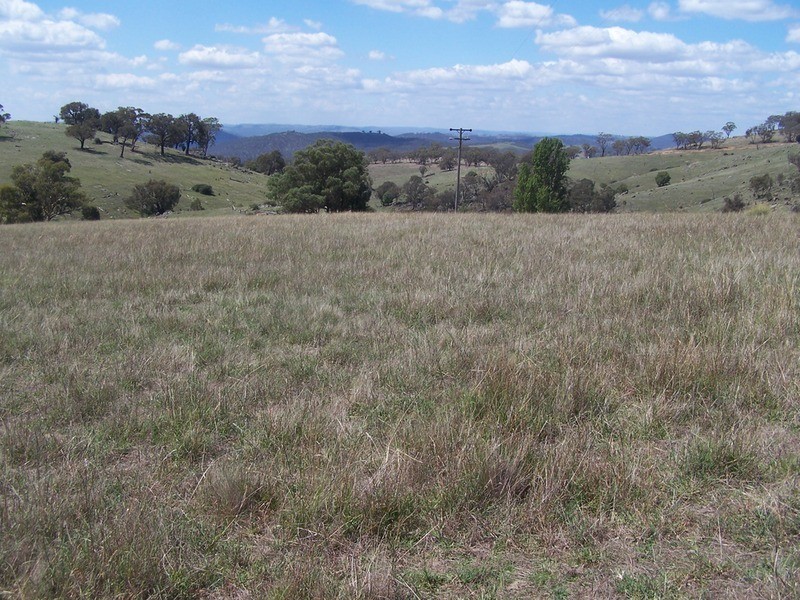 Lot 3 Peach Gardens Road, Bigga NSW 2583