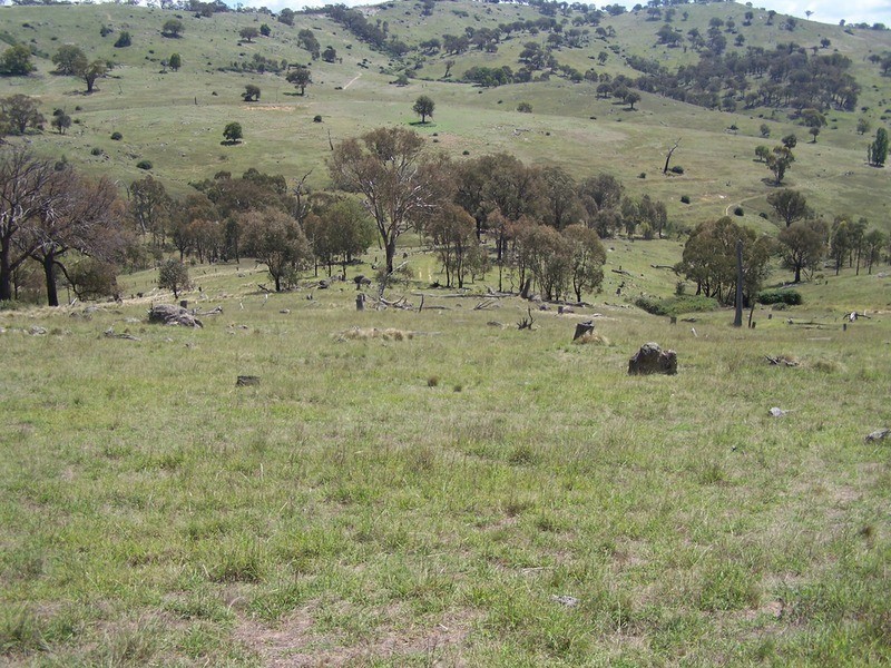 Lot 3 Peach Gardens Road, Bigga NSW 2583