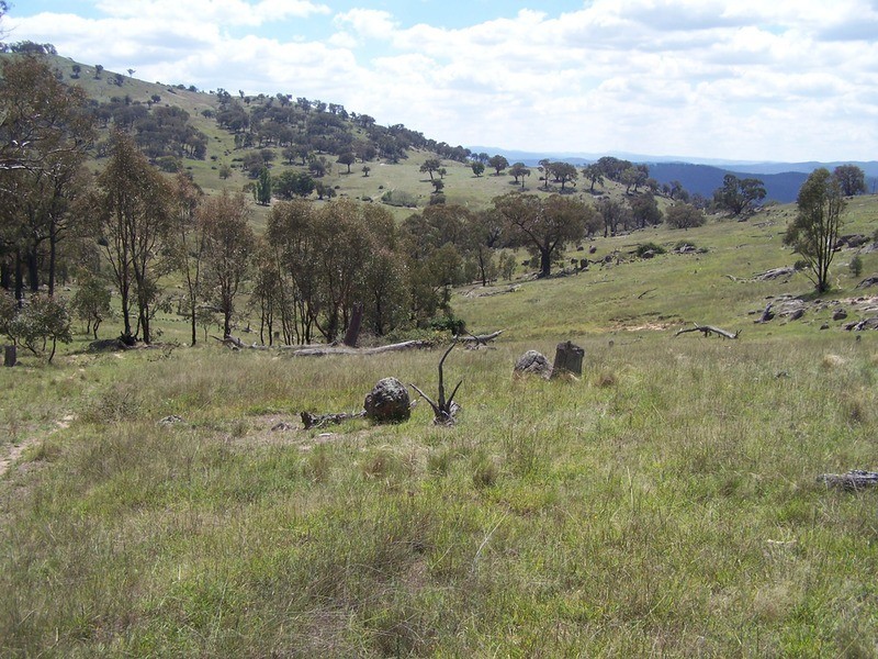 Lot 3 Peach Gardens Road, Bigga NSW 2583