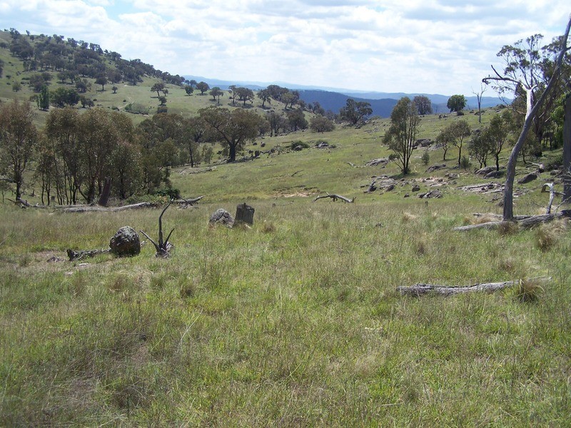 Lot 3 Peach Gardens Road, Bigga NSW 2583