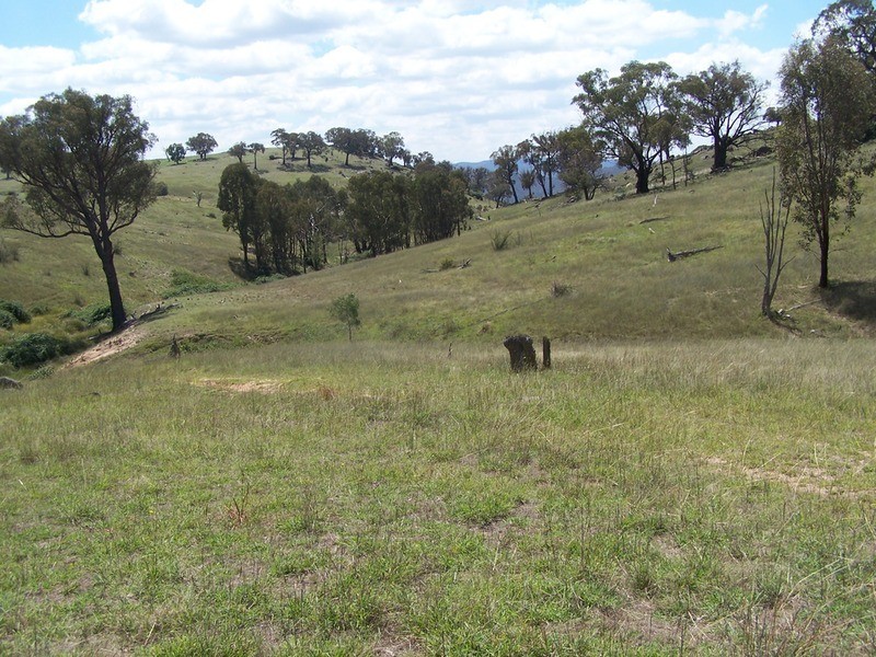 Lot 3 Peach Gardens Road, Bigga NSW 2583