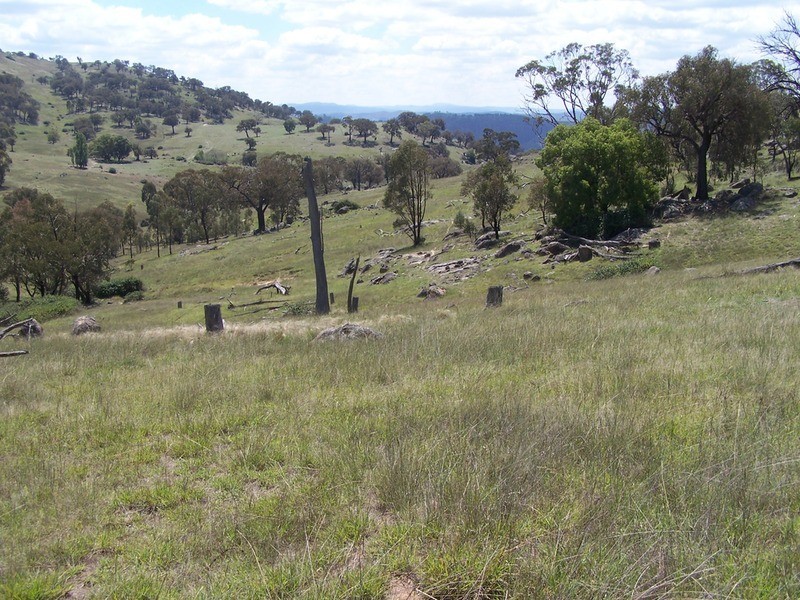 Lot 3 Peach Gardens Road, Bigga NSW 2583