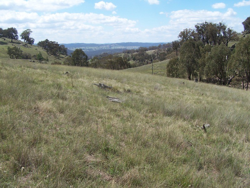 Lot 3 Peach Gardens Road, Bigga NSW 2583