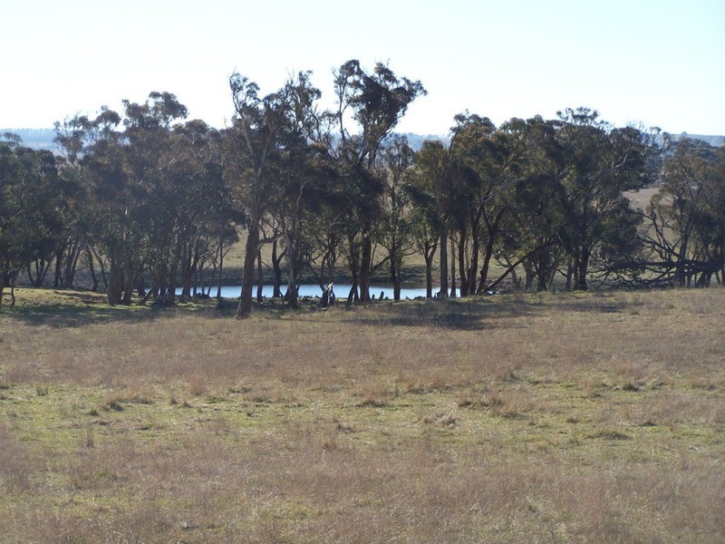 86 Greywoodsiding Road, Woodhouselee NSW 2580