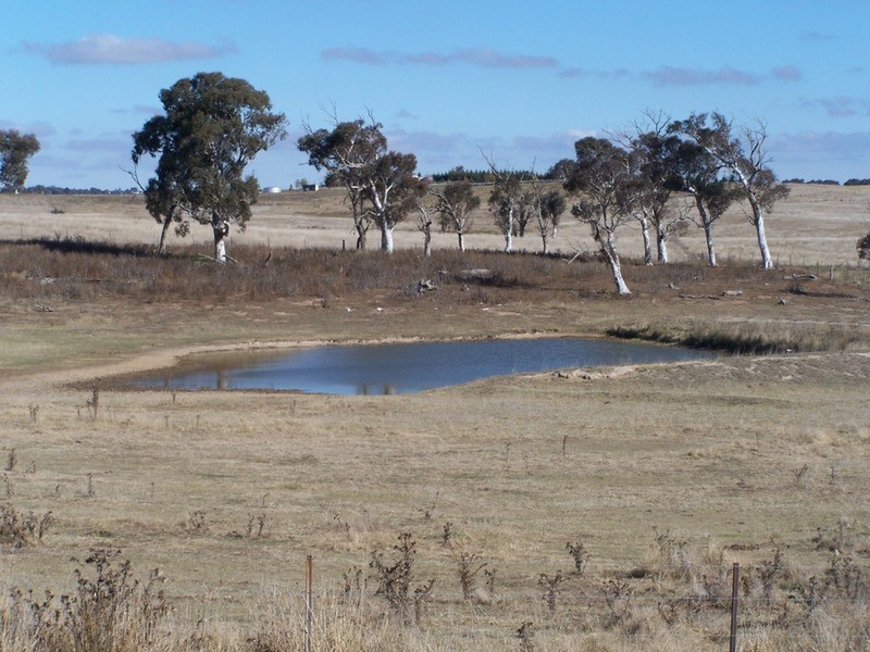 86 Greywoodsiding Road, Woodhouselee NSW 2580