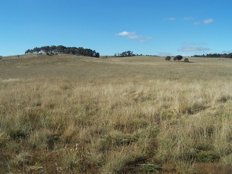 86 Greywoodsiding Road, Woodhouselee NSW 2580