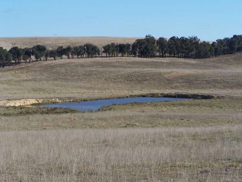 86 Greywoodsiding Road, Woodhouselee NSW 2580