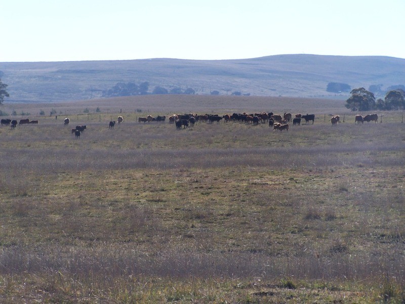 86 Greywoodsiding Road, Woodhouselee NSW 2580