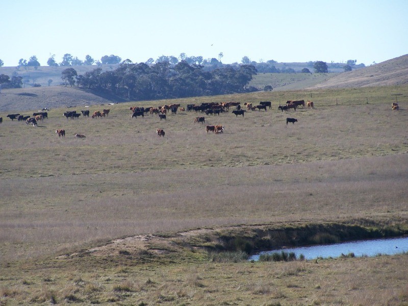 86 Greywoodsiding Road, Woodhouselee NSW 2580